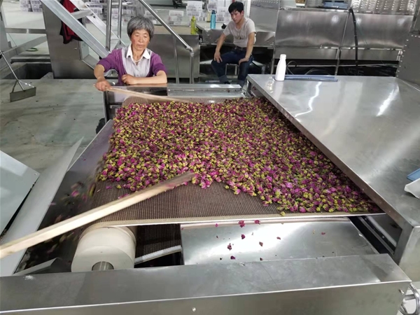Rose Drying And Fixing Machine